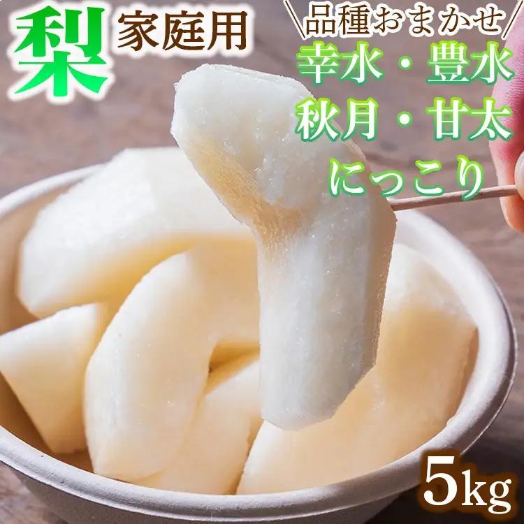 【家庭用】品種おまかせ 梨 5kg 幸水 豊水 秋月 甘太 にっこり ※2026年8月～発送 ※離島への配送不可 | 栃木県産 果物 フルーツ