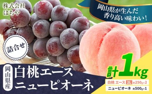 【2026年先行予約】岡山県産 岡山白桃 エース ニューピオーネ 計 1kg 詰合せ 株式会社 はちや《2026年7月上旬‐8月下旬頃出荷》もも 岡山 国産 フルーツ 果物 岡山県 浅口市 フルーツ モモ 果物【配送不可地域あり】