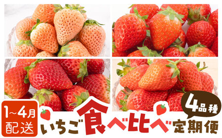 【先行予約】【4回定期便】いちご4品種食べ比べ 白いちごも！ /  いちご [IAP011]