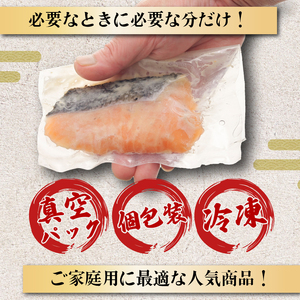 漬け魚 サーモン 10枚 漬け