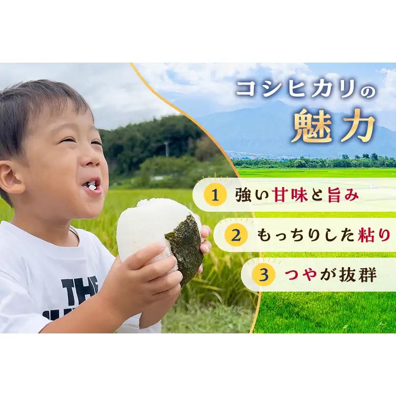 【予約】令和8年度産 静岡産 コシヒカリ 玄米 定期便 10kg×6カ月 米 コメ こしひかり コシヒカリ 袋井市 静岡県