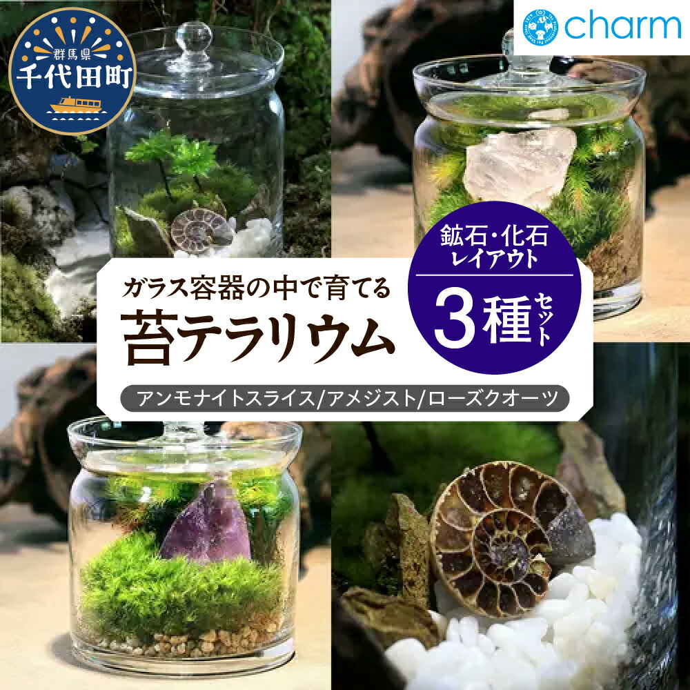 【ふるさと納税】苔テラリウム 鉱石 化石 レイアウト 3種セット アンモナイトスライス アメジスト ローズクオーツ 群馬県千代田町 インテリア ナチュラル 植物 リラクゼーション 室内栽培 プレゼント ギフト 贈答用 送料無料 趣味 人気 オススメ 初心者 株式会社チャーム