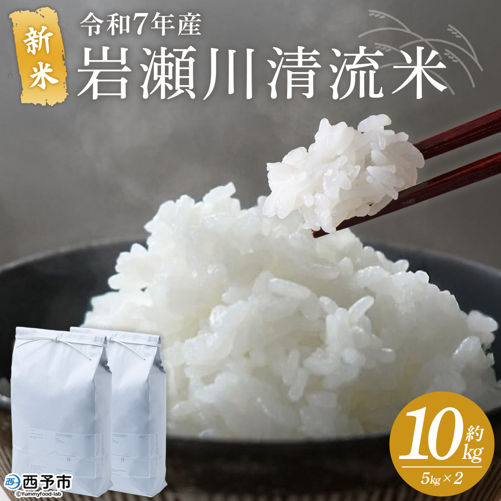＜令和7年産 新米 コシヒカリ 岩瀬川清流米 10kg＞ 10キロ こしひかり お米 コメ こめ 白米 精米 ご飯 穀物 鮮度 特産品 愛媛県産 西予市産 宇和町産 OTSUKAFARM 愛媛県 西予市
