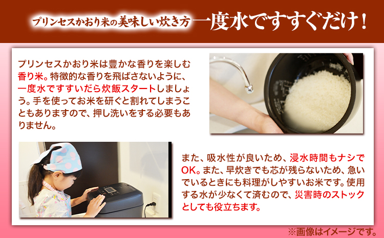 カレー専用米 プリンセスかおり 5kg 有限会社 田中農場《90日以内に出荷予定(土日祝除く)》鳥取県 八頭町 米 お米 ご飯 カレー 送料無料
