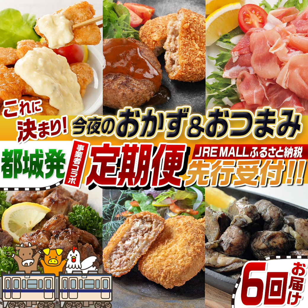 【事業者コラボ定期便】今夜のおかず＆おつまみはこれに決まり！6回定期便