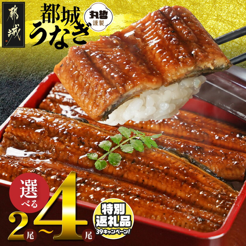 【ふるさと納税】【期間限定特別規格！！】《レビューキャンペーン実施中！》【内容量が選べる！】宮崎県育ちのうなぎ蒲焼≪山椒・たれ付≫ - 真空パック 選べる内容量 2尾/3尾/4尾 個包装 丑の日 お中元 敬老の日 お歳暮 送料無料 SKU-M301 【宮崎県都城市】