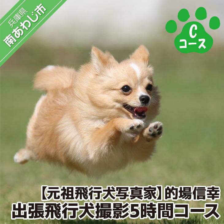 【ふるさと納税】Cコース　元祖飛行犬写真家　的場信幸　出張飛行犬撮影5時間コース