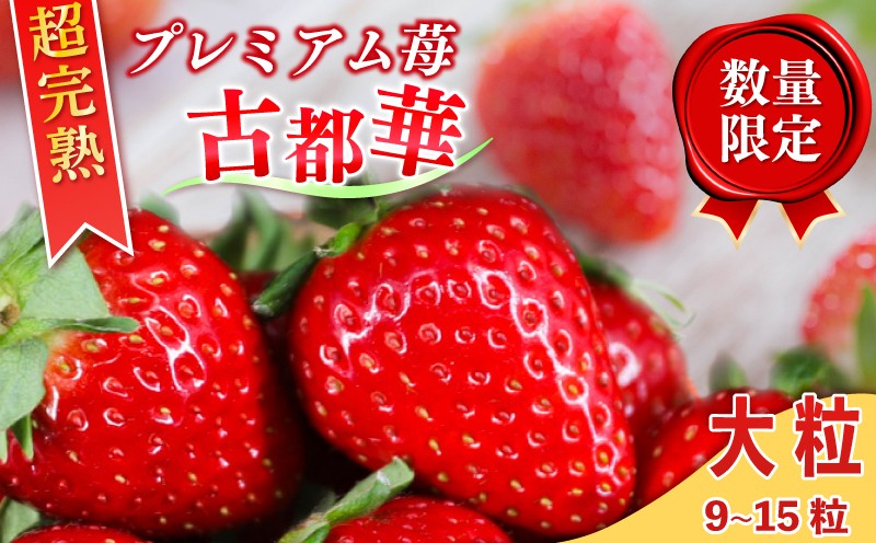 
                  いちご 古都華 大粒 9~15粒 1箱 数量限定 冷蔵 いちご ことか 2027年発送 苺 フルーツ 果物 イチゴ strawberry  数量限定 旬 完熟 人気 国産 ストロベリー itigo strawberry 贈答 ギフト プレゼント 産地直送 季節限定 奈良県 奈良市 6FARM
                