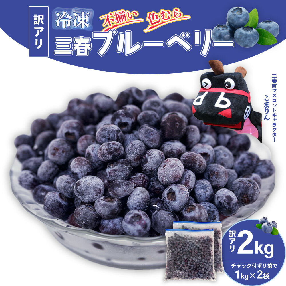 【ふるさと納税】【訳アリ】三春冷凍ブルーベリー 1kg×2袋／計2kg【三春町産 冷凍ブルーベリー 大粒 福島県 三春町 三春ブルーベリー倶楽部 有機質肥料 果物 国産 フルーツ 果実 旬】　【07521-0110】