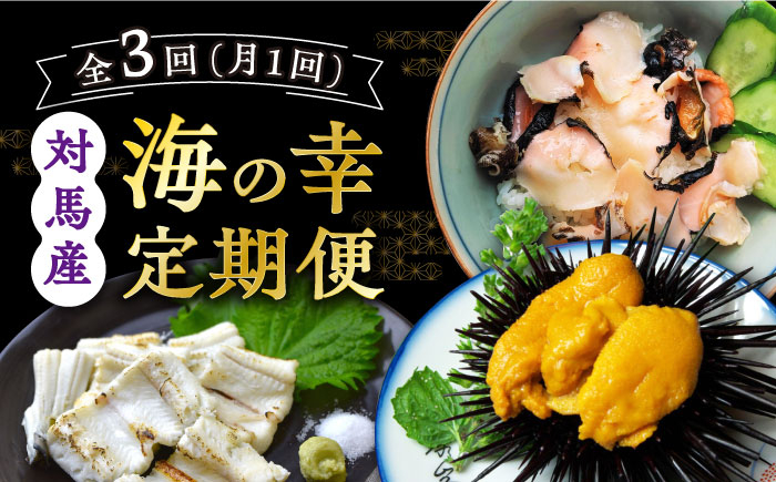 【全3回定期便】対馬産 海の幸定期便 《対馬市》【保家商事】 長崎 九州 つしま 対馬市 定期便 ていきびん 毎月届く ウニ さざえ 穴子 刺身 刺し身 うに 雲丹 栄螺 あなご 詰め合わせ 魚介 海鮮 [WAA013]
