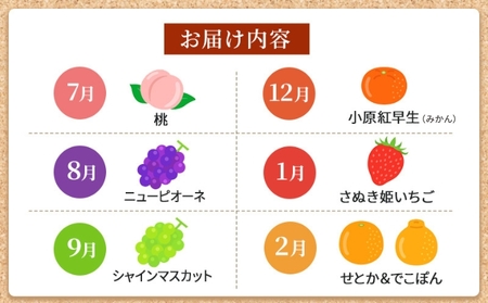 【全6回】フルーツ 定期便 いいとこどり定期便 桃 マスカット