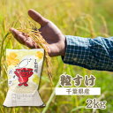 【ふるさと納税】千葉県産　粒すけ　精米　2kg×1袋【1562649】