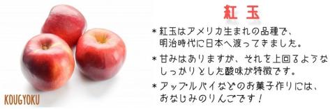 りんご 紅玉 秀 ～ 特秀 4.5kg ヒライ農園 沖縄県への配送不可 2024年10月上旬頃～2024年10月下旬頃まで順次発送 令和6年度収穫 信州の環境にやさしい農産物認証 飯綱町 [0362]