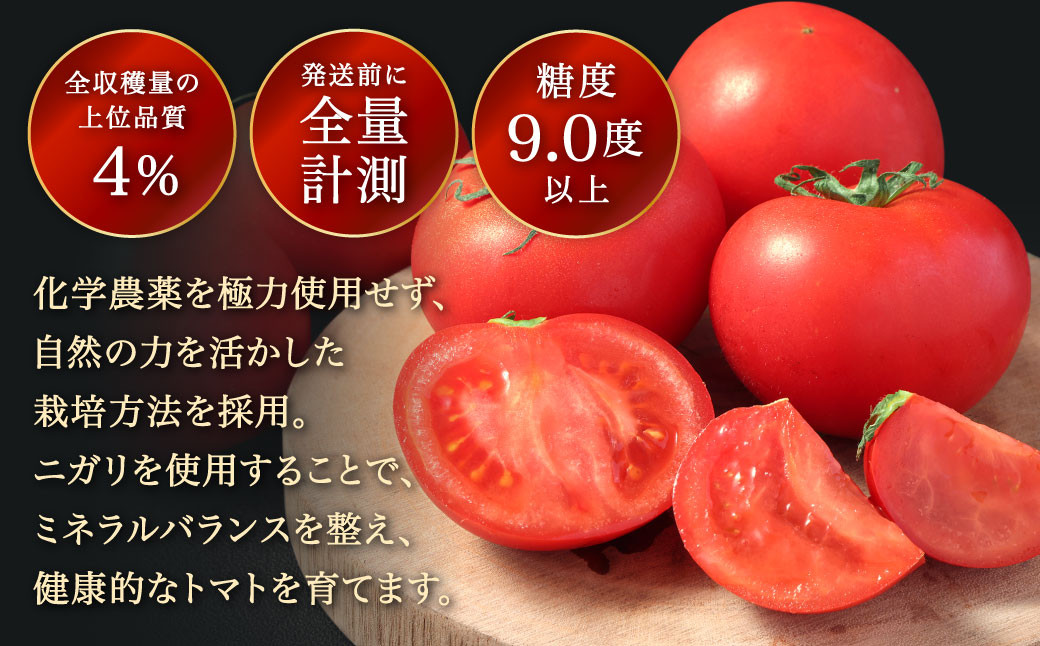 三ッ星トマト 約1kg （10～20玉）