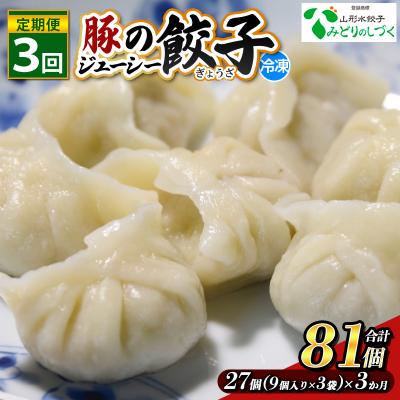 ふるさと納税 山形市 【定期便3回】豚のジューシー餃子 9個入り×3袋(27個)×3ヶ月(計81個) FY25-010