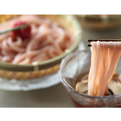 ふるさと納税 那智勝浦町 丸ざる梅うどん　5食