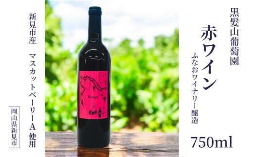 
                  【2025年11月から発送】黒髪山葡萄園 赤ワイン 750ml ふなおワイナリー醸造 1本
                