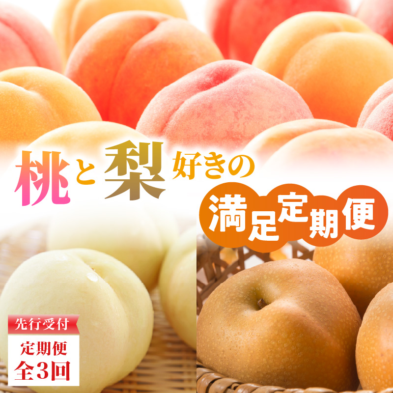 ≪先行受付≫【2026年度発送】 桃と梨好きの満足定期便【定期便全3回】