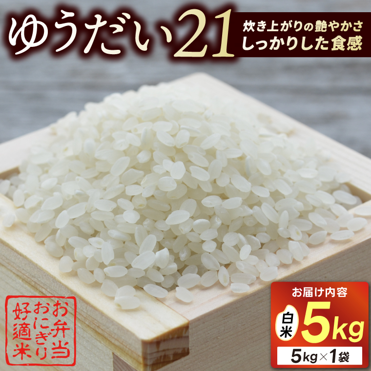 ＼先行予約・10月より順次発送／山﨑観光農園のお米　ゆうだい21　白米5kg｜栃木県 益子町 ふるさと納税 お米 ゆうだい21 白米 精米 5kg 高評価（AU006）