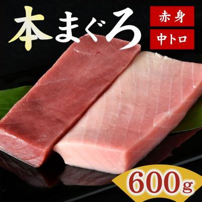 ふるさと納税 松阪市 国産本まぐろ (赤身・中トロ) 短冊セット 600g以上 (150g以上×4本)