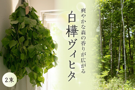 【先行受付】北海道芽室町産「白樺ヴィヒタ」2束サウナグッズ バスグッズ ビヒタ 健康 森林浴 インテリア スワッグ 装飾 送料無料 北海道 十勝 芽室町 送料無料 me055-002c-3