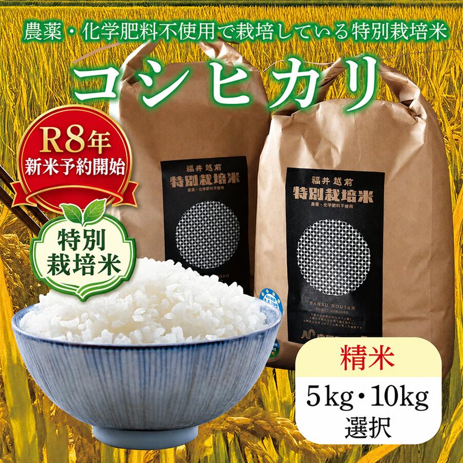 ＼R8年度販売／新米先行予約開始【ふるさと納税】 令和8年度 特別栽培米コシヒカリ / 5kg 10kg 送料無料 福井県 越前市 米 コシヒカリ 農薬不使用 (18209)