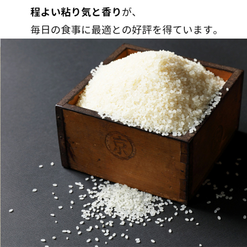 【9月より新米】米 京都丹波米 きぬひかり5kg 白米 米◇◆◇ 食味鑑定士厳選 京都丹波産 ふるさと納税米 ※精米したてをお届け ※北海道・沖縄・離島への配送不可