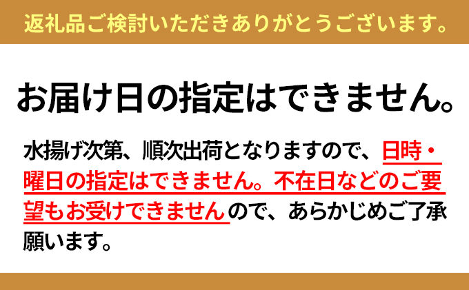 【配送日時・曜日指定不可】小川商店の無添加塩水ウニ100g×3パック※2024年5月中旬より順次出荷 北海道 海鮮 生うに うに