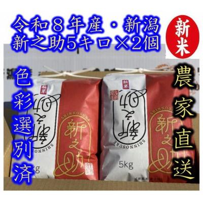 ふるさと納税 阿賀野市 【令和8年産新米】 新潟県産「新之助」 白米 10kg(5kg×2袋)