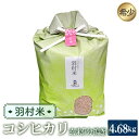 【ふるさと納税】No.054 羽村米　コシヒカリ　精米（玄米5kgを7分搗き）約4.68kg ／ 水田 お米 希少 こめ こしひかり 送料無料 東京都