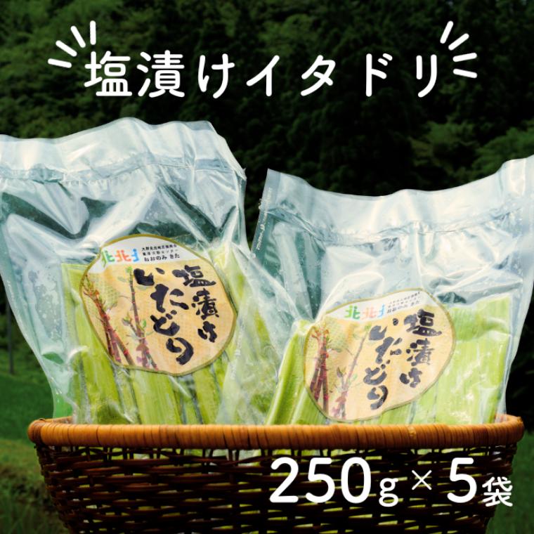 【ふるさと納税】 山菜 イタドリ 冷凍 塩漬け 250g × 5セット 高知県産 いたどり 虎杖