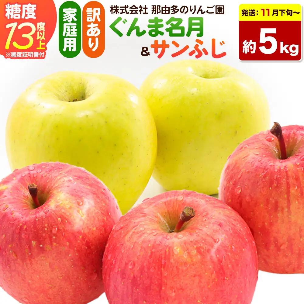 【26年11月下旬～発送】りんご ぐんま名月＆サンふじ【訳あり】約5kg 糖度13度以上（糖度証明書付）【先行受付】詰め合わせ 家庭用 青森県 弘前市 果物 フルーツ 林檎 リンゴ くだもの 不揃い 規格外