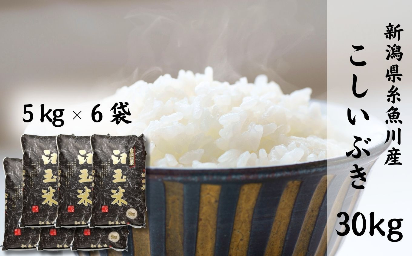 
                  【令和7年産】新潟県産こしいぶき『臼玉米』30kg 2025年産 木島米穀店【新潟県 糸魚川市 米 お米 白米 こめ コメ コシイブキ ご飯 ライス ふるさと納税米 お弁当 おにぎり 30キロ 精米 食品 新潟県 糸魚川産 2025年産 食品 人気 おすすめ】
                