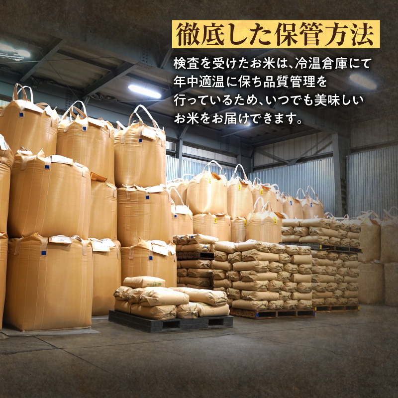 【10月下旬発送】新米先行予約 北海道産 ななつぼし 精米 10㎏ (5kg×2袋) 【10月下旬発送】 精米10kg
