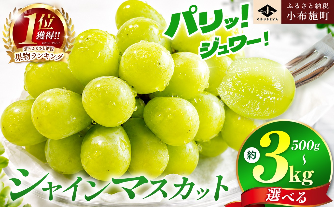 
                  先行受付 シャインマスカット 約500g 約1.1kg 約1.4kg 約2kg 約3kg 選べる内容量 ［小布施屋］ フルーツ 果物 くだもの ぶどう 葡萄 ブドウ 数量限定 クール便配送 長野県産 産地直送 先行予約 2026年発送 令和8年産 【2026年9月下旬～10月上旬発送】
                