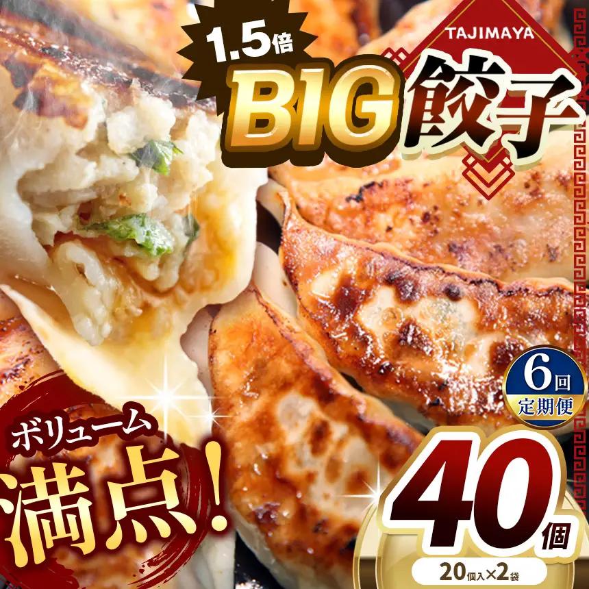 【定期便6回】たじまやオリジナルビッグ餃子 40個  