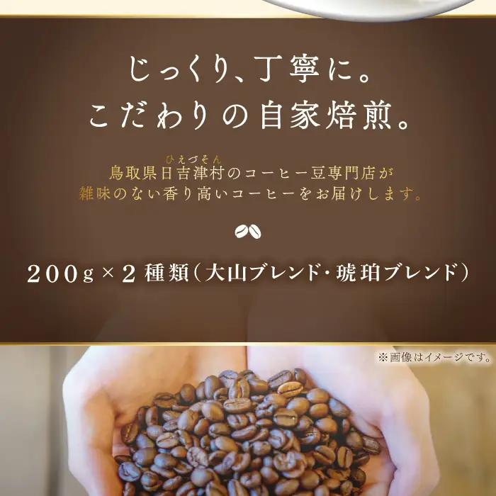 自家焙煎コーヒー（豆）　400g（200g×2種）【大山ブレンド 琥珀ブレンド コーヒー 珈琲 自家 焙煎 2種 飲み比べ 豆 コーヒー豆 ご自宅用 飲料 鳥取 日吉津村】