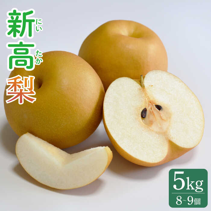 【ふるさと納税】【2025年9月〜発送】【南島原産】新高梨（8個から9個） / 梨 なし 果物 フルーツ / 南島原市 / ながいけ [SCH039]