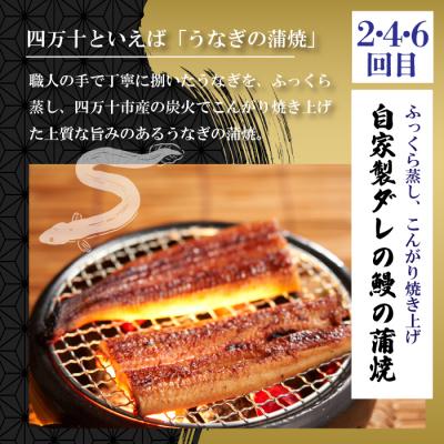 ふるさと納税 四万十市 【6回定期便】うなぎの蒲焼と鰹のタタキの月替わり定期便 R7 |  | 03