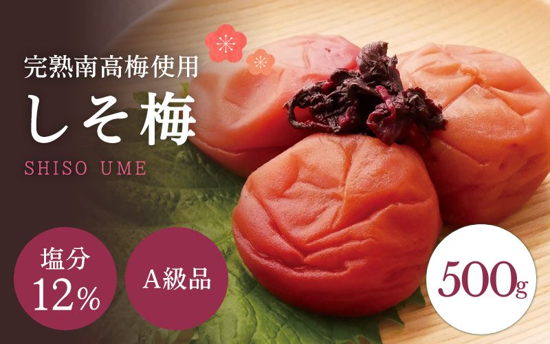 【A級品】紀州南高梅 しそ梅 500g 塩分12％ / 梅干し 梅干 うめぼし 南高梅 しそ梅 しそ梅干し シソ 紫蘇 国産 梅 うめ ウメ 完熟 健康 ご飯のお供 贈り物 ギフト プレゼント お取り