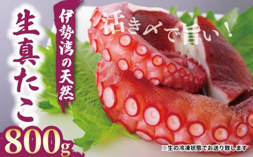 南知多産 活〆生真ダコ 計 800g 2匹 まると水産