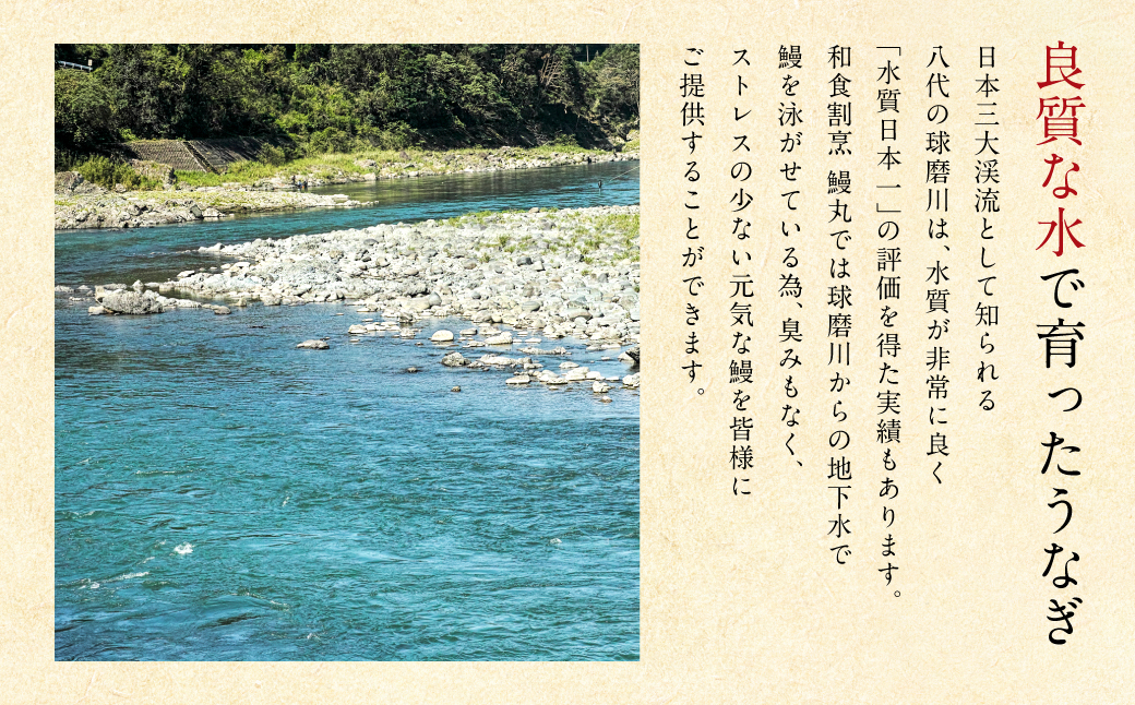 鰻丸(うなまる) 九州産 うなぎ蒲焼き3尾 ＆ 刻み蒲焼き2パックセット 鰻 ウナギ うなぎの蒲焼