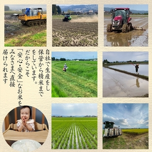 令和8年産　先行予約　上越市産みずほの輝き　5kg　新米　精米　新潟　米　新潟県　みずほの輝き　限定　おすすめ　米ヴィレッジさんわ