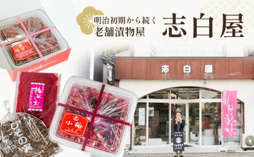 大満足 お漬物2種セット　しそ巻きらっきょう250g　椎茸からし漬250ｇ
