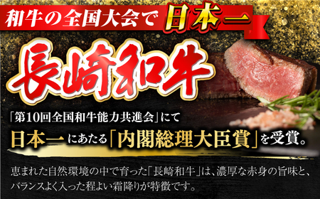 【訳あり】 長崎和牛 ヒレ サイコロステーキ 計300g 【合同会社　肉のマルシン】[RCI052]