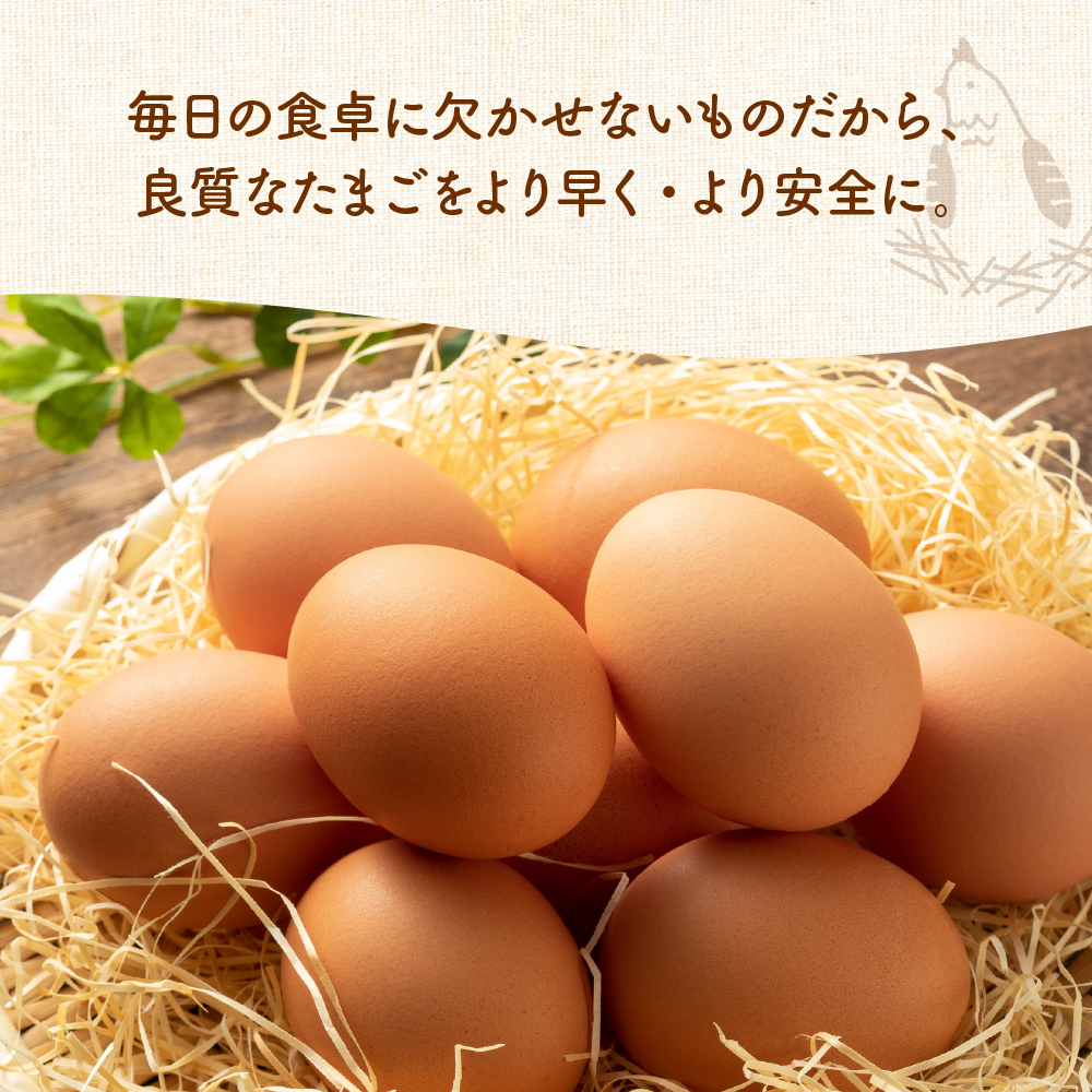 紅花たまご 60個セット 10個×6パック 卵 たまご 赤玉 鶏卵 黄身 白身 産みたて 卵かけ ご飯 親子丼 オムレツ 朝食 たんぱく質 新鮮 栄養 濃厚 甘み コク 山田鶏卵 送料無料 山形県 米