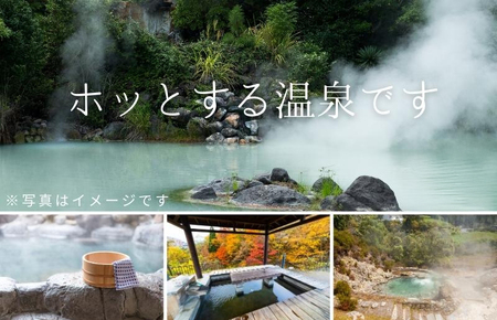 旅行 カタログ 30万円分 洞爺湖 温泉 宿泊 旅行