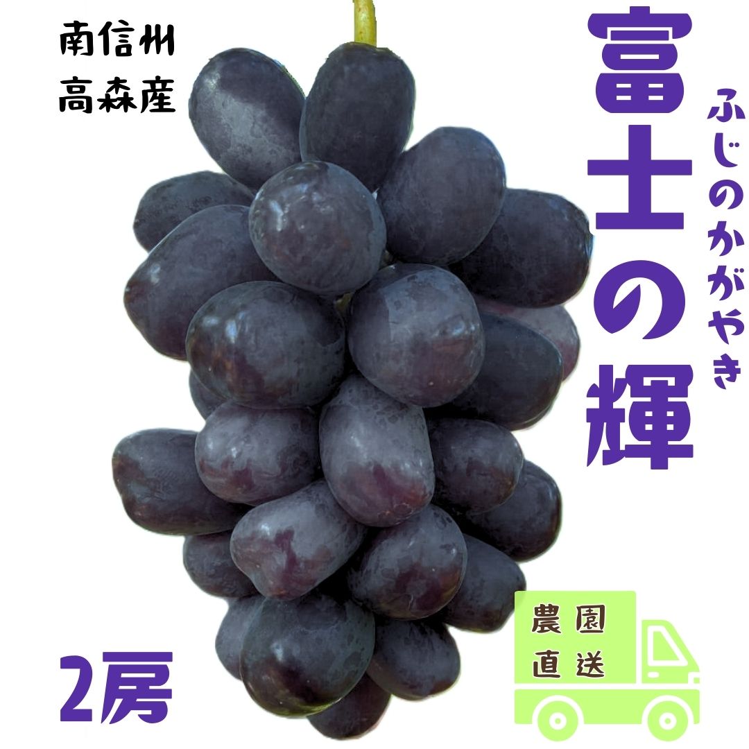 【ふるさと納税】ぶどう 富士の輝【南信州高森産】希少ぶどう 富士の輝 2房 長野県 信州 農家直送 果物 くだもの ぶどう 旬のぶどう 鶴屋農園【配送不可地域：離島】