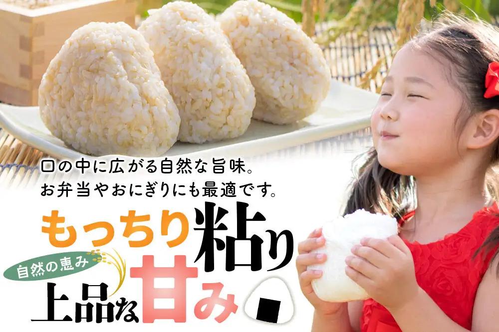 【令和８年産 新米予約】あきたこまち 玄米 10kg（5kg×2袋） 秋田県北秋田市産 