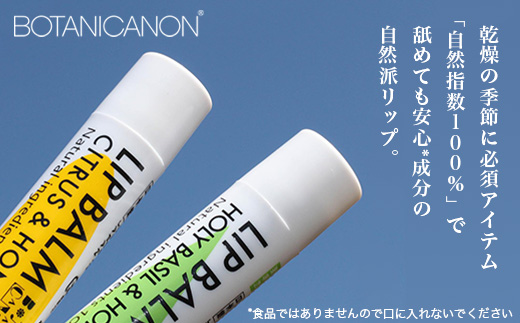 リップスティック2種セット